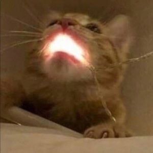 Meet your Posher, Logan